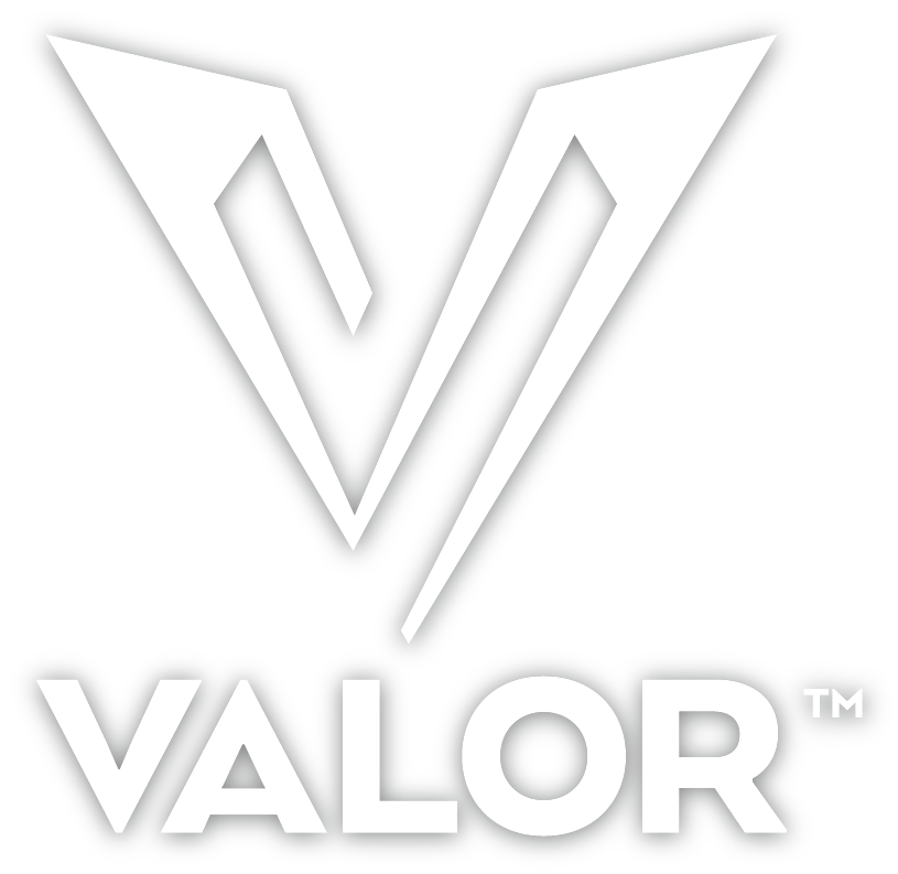 White Valor Logo
