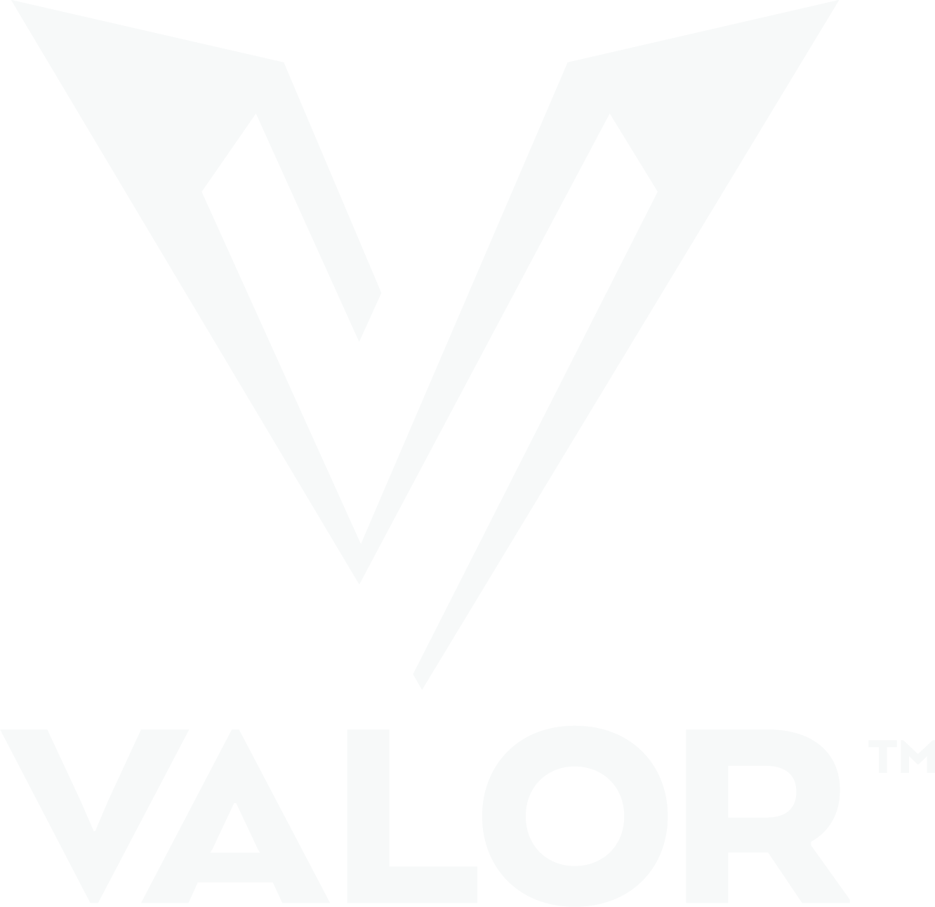 White Valor Logo
